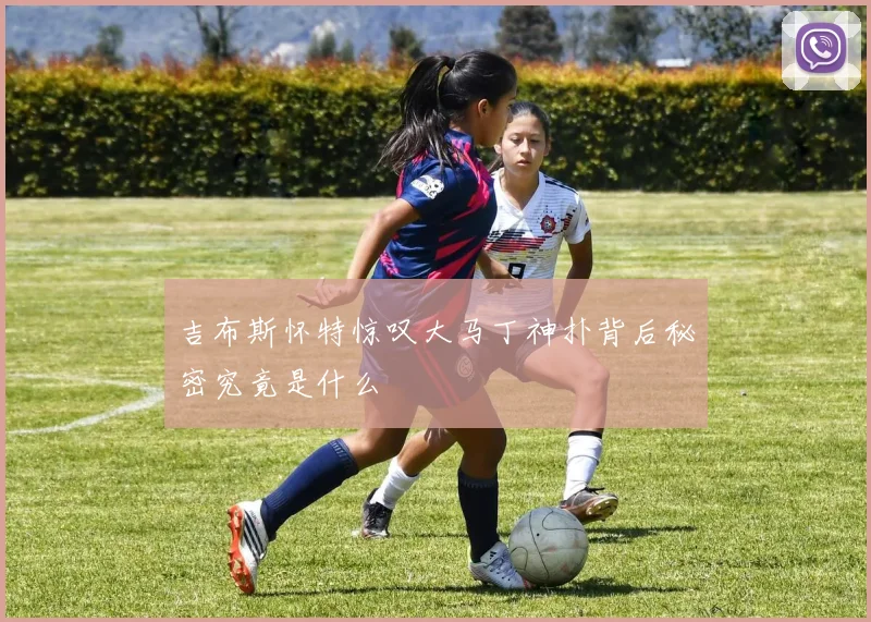 吉布斯怀特惊叹大马丁神扑背后秘密究竟是什么